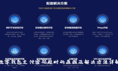 数字钱包支付密码超时的原因及解决方法详解