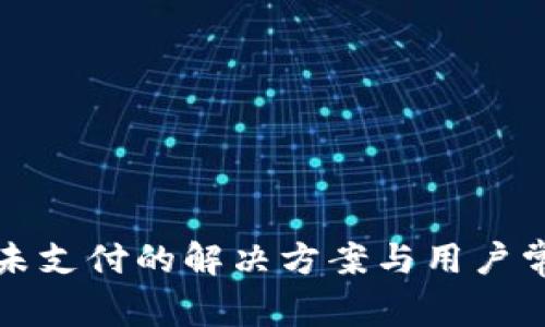 TP钱包闪兑未支付的解决方案与用户常见问题解析